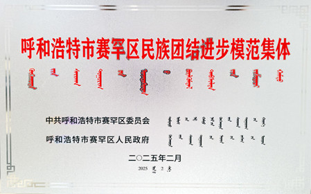 標題：呼和浩特分院榮獲呼和浩特市賽罕區(qū)民族團結(jié)進步模范集體稱號
瀏覽次數(shù)：1878
發(fā)表時間：2025-04-11